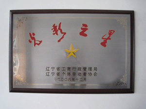 光彩之星荣誉证书