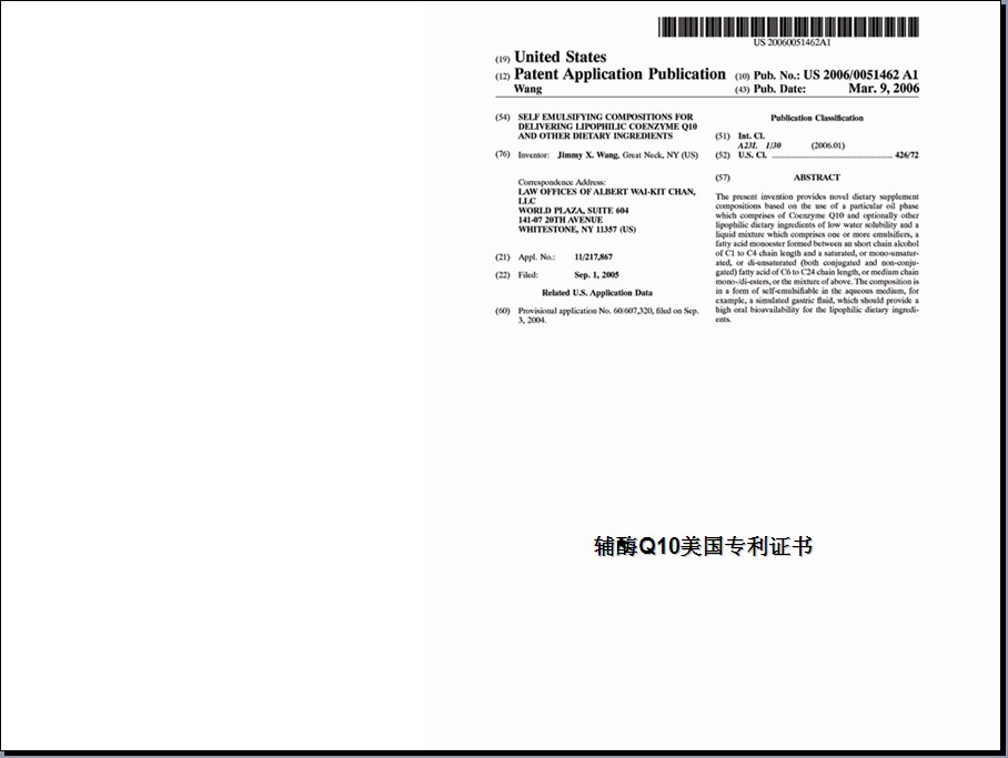 美国专利运营,美国专利运营平台有哪些