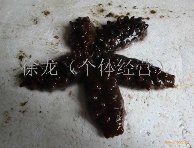 活海参粉丝@吉林延边朝鲜族自治州其他未制作价格虾分类图片