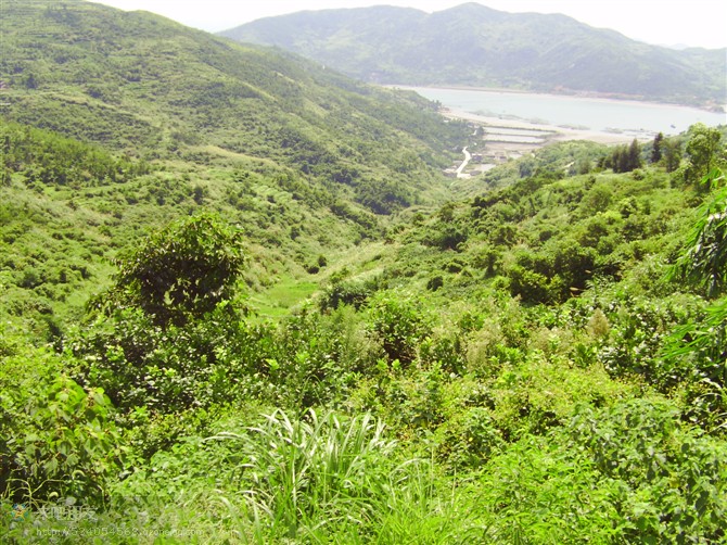 在荒山的养殖场旁建房未办手续罚款因如何罚 养殖场荒山建房办手续