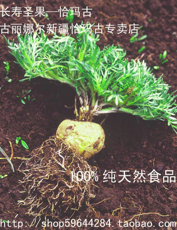 疆柯坪圣泉实业有限公司-恰玛古碱性营养液,恰