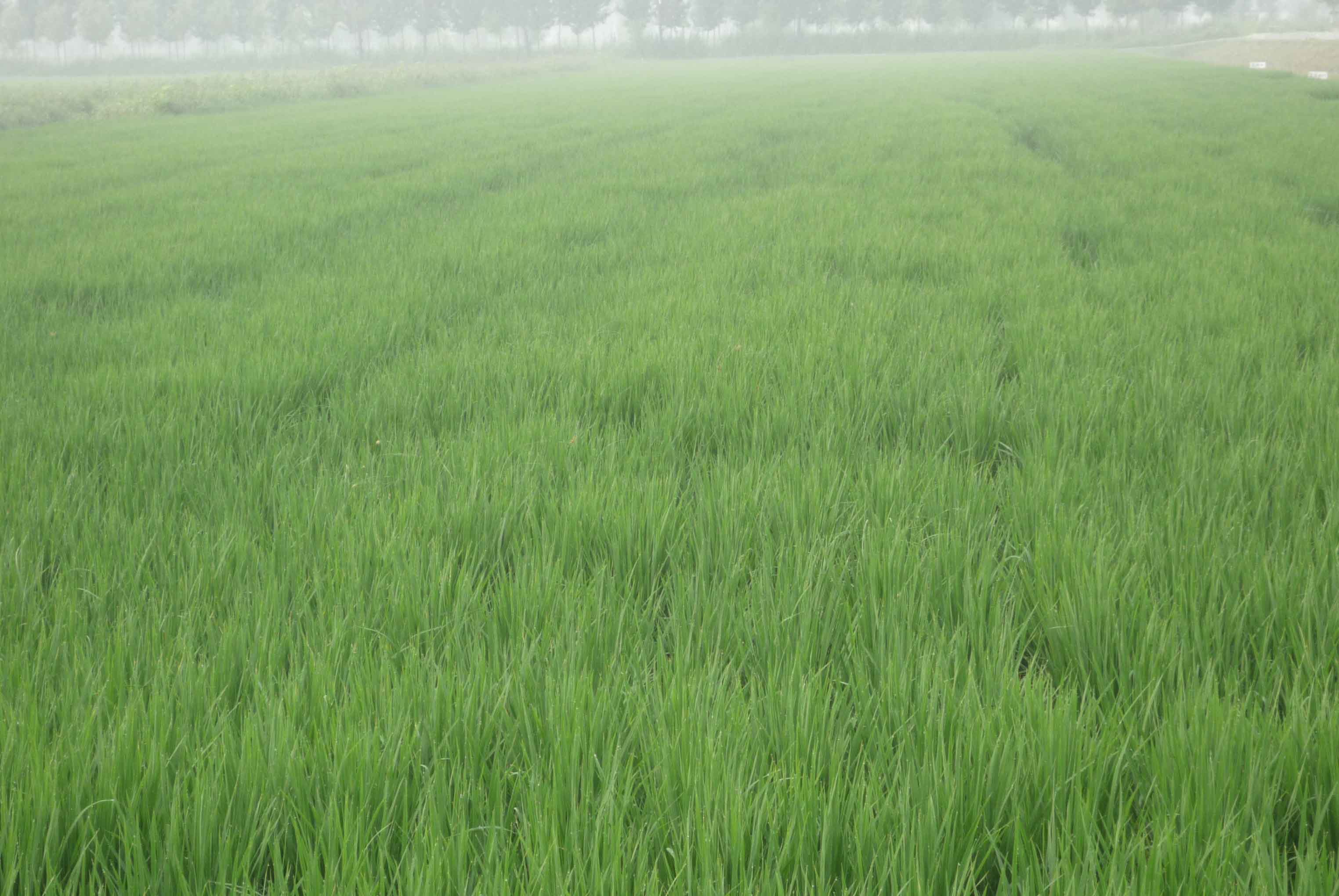 天津海航绿色农业科技开发有限公司