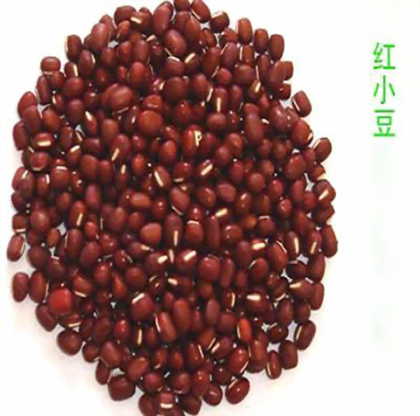 供应优质红小豆