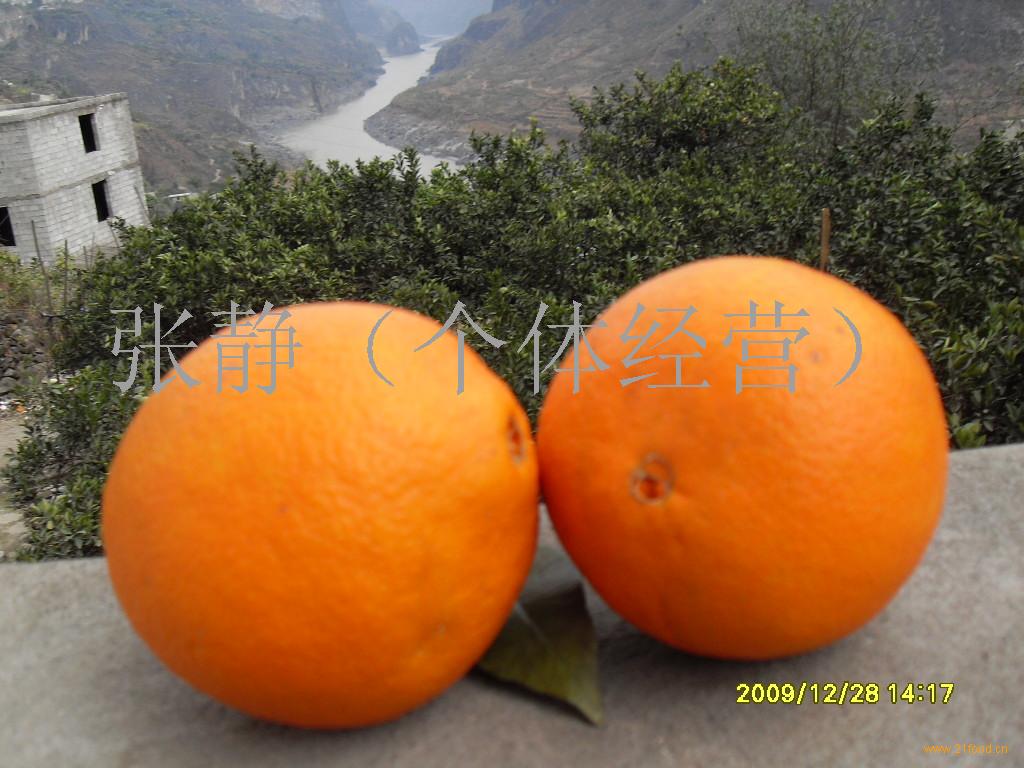 雷波脐橙-中国+四川凉山彝族自治州