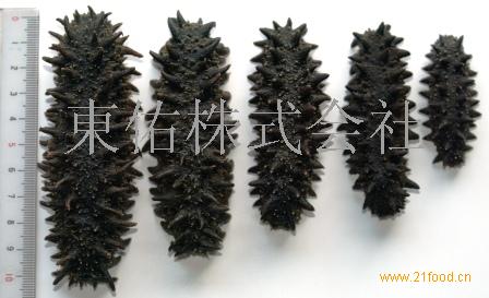供应日本海参用龙虾清洗小啤酒图片