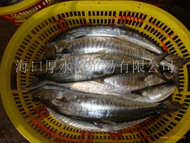 海南厚水湾集团有限公司(英文缩写HSB)是一家集战略投资和经营管理为一体的综合性投资控股集团公司。海南厚水湾集团有限公司下设海南厚水湾海洋旅游开发有限公司、海口厚水湾贸易有限公司、临高厚水湾物业管理有限公司三家控股子公司。 公司以海南的优势产业为基础,主营业务聚焦于海洋产业,致力于海洋渔业、海洋旅游业、港口物流业的投资与运营管理,以此联动海洋文化业、海洋餐饮业、海洋教育培训业和社会服务业等其它相关多元化产业的发展。公司通过整合资源、优化布局、拓展功能、创新体制,打造海洋产业链基地;充分利用国际、国内
