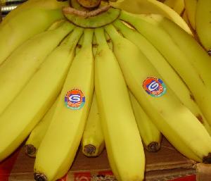 菲律宾进口香蕉-中国 江苏苏州-G牌