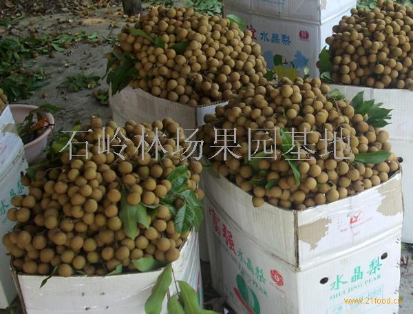 供应增城储良龙眼水果 (广东 广州)-食品商务网