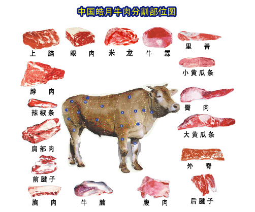 代理 合作 食品类 肉类 牛肉 吉林2006-04-04 分割部位肉系列名称规格