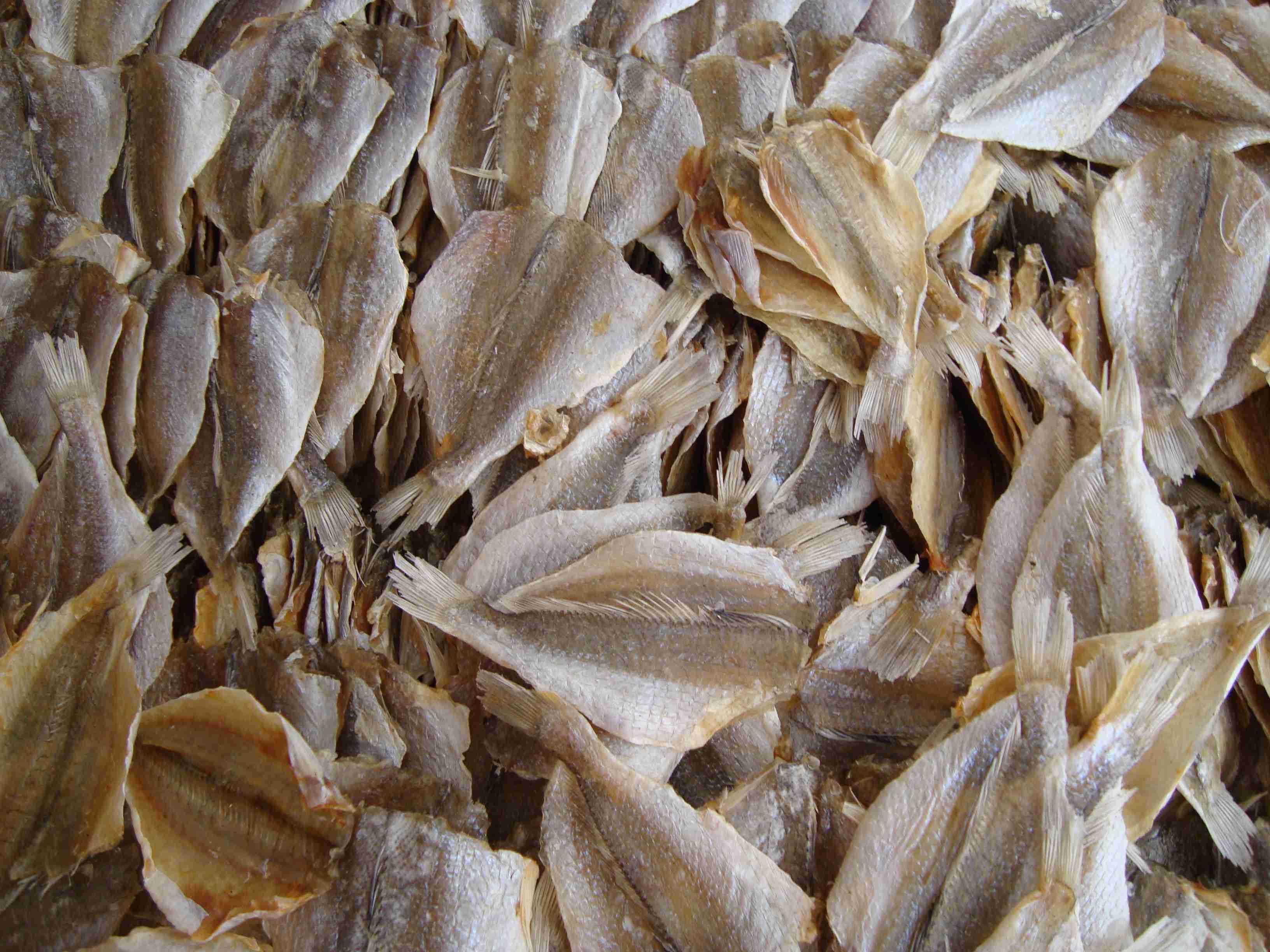   ζ /ζ/ƻƬ/ ζ /250g/տع