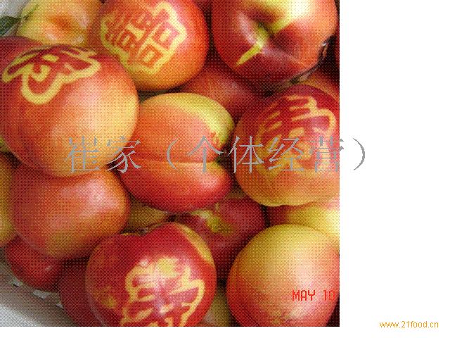 大棚油桃-中国 安徽滁州