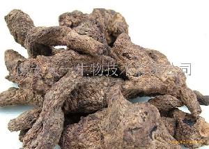 地黄提取物Rehmannia Rhizome P.E.