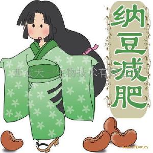 纳豆激酶