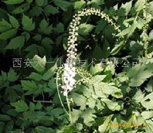 黑升麻提取物