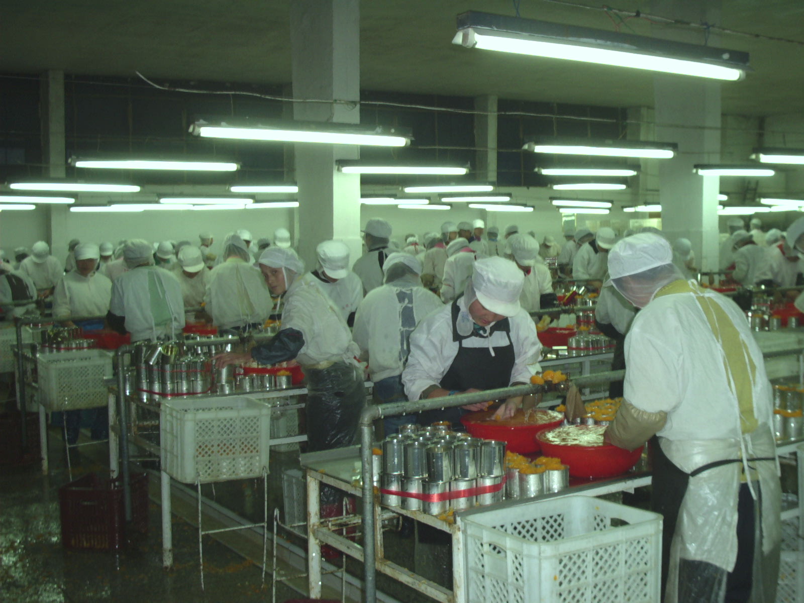 年产5000吨蔬菜罐头厂工厂设计 毕业论文
